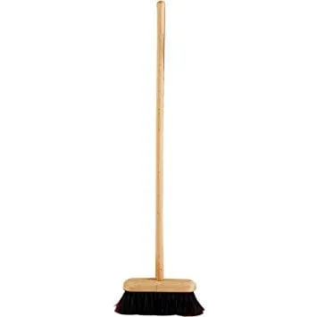 Indoor Broom and Dustpan